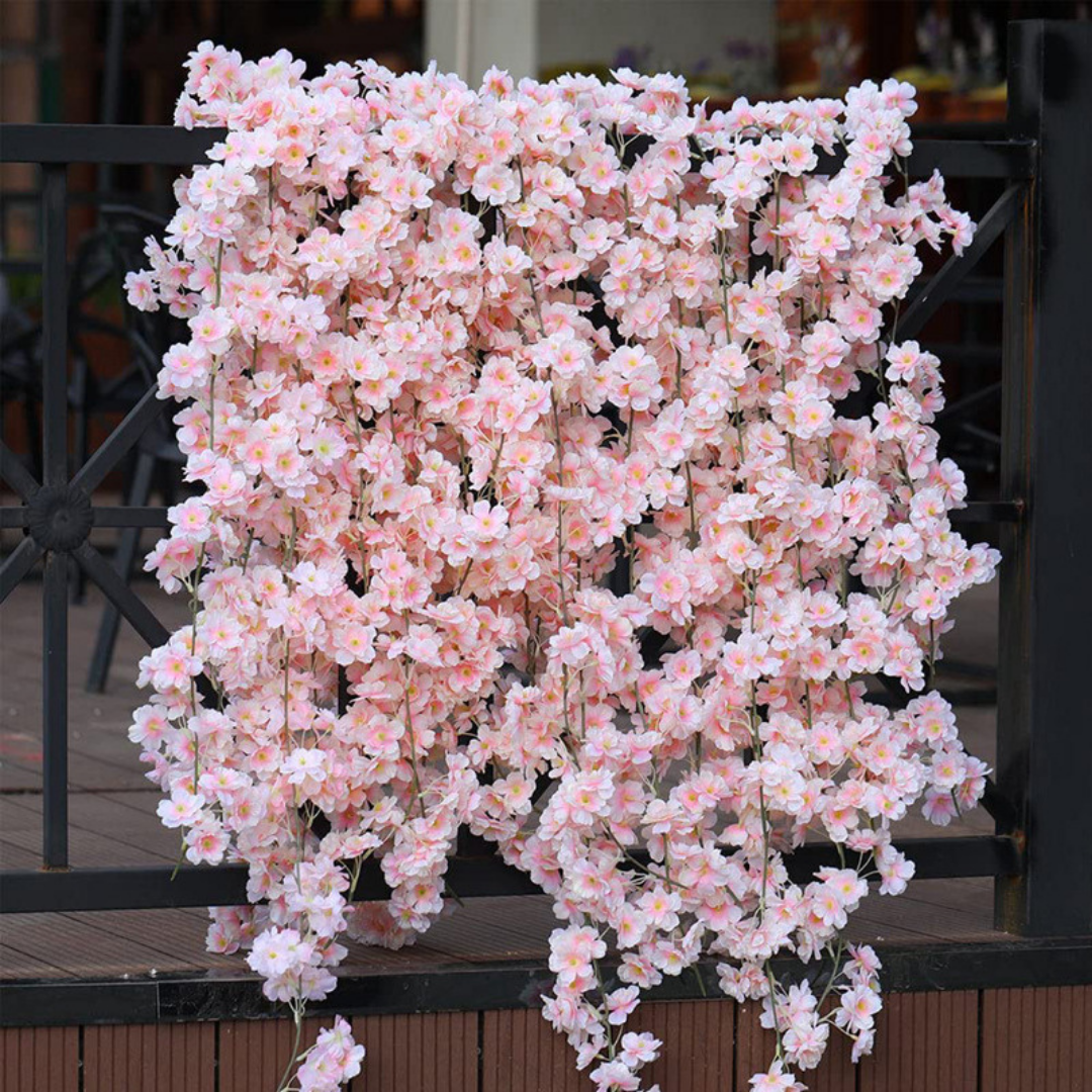 🌸PACK SEMILLAS WISTERIA DE HERMOSO ÁRBOL CHINO