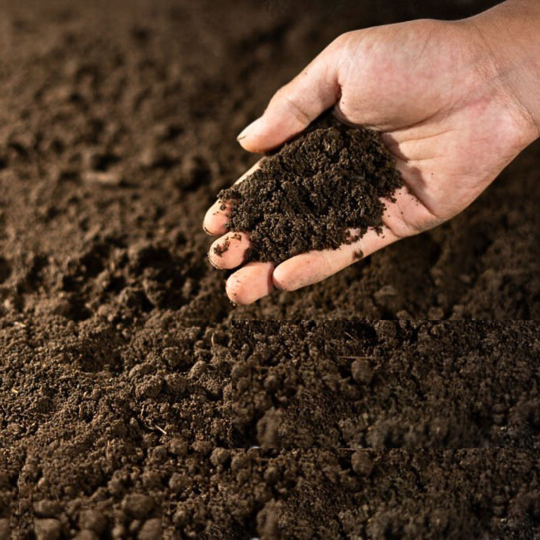 🌱BOLSA DE TIERRA ESPECIAL ABONADA PARA PLANTAS