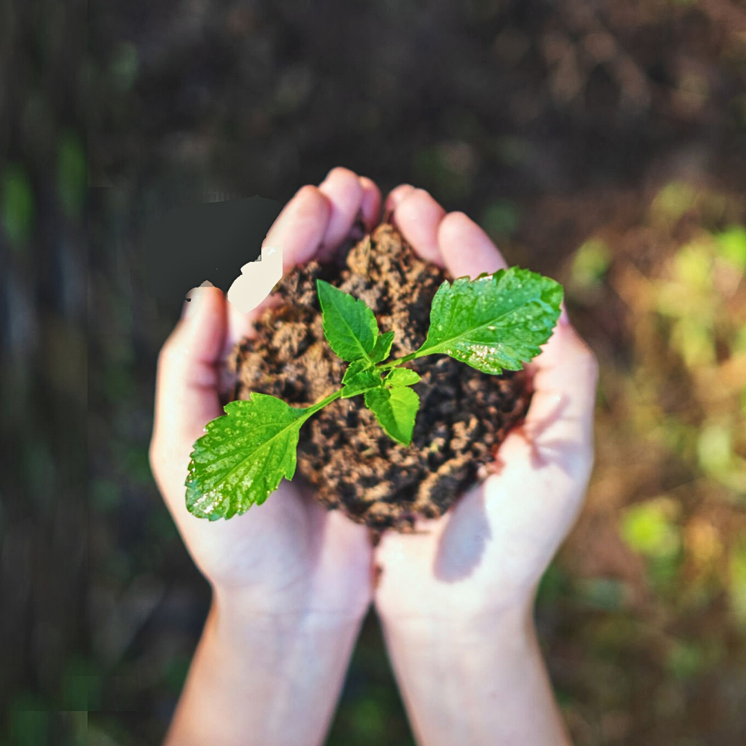 🌱BOLSA DE TIERRA ESPECIAL ABONADA PARA PLANTAS