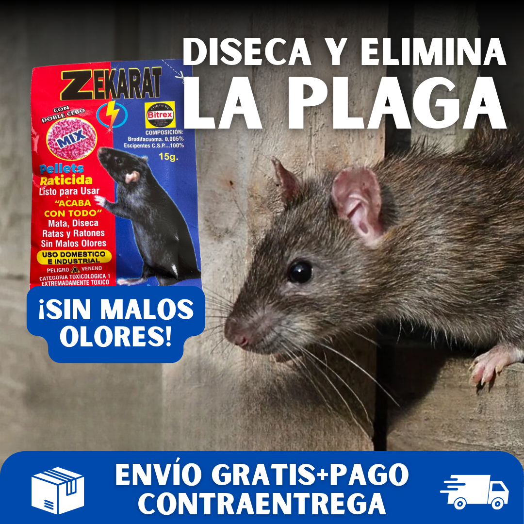 🐀ZekaRat® Cebo eliminador de ratas sin malos olores