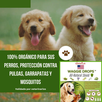 Repelente anti pulgas para tu mascota X 15ml + ENVIO GRATIS