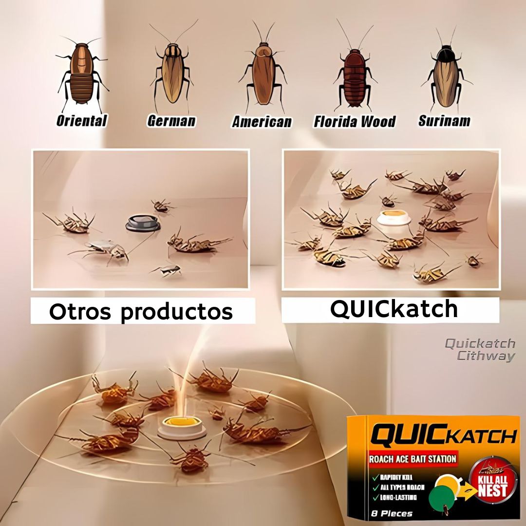 Cebo exterminador de cucarachas x12 unds+ ENVIO GRATIS