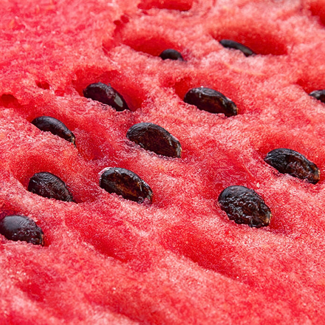 🍉PACK x100 SEMILLAS DE SANDÍA🌱