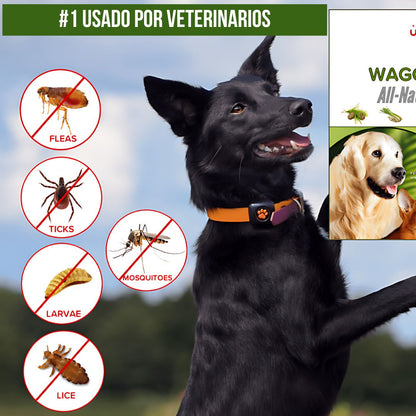 Repelente anti pulgas para tu mascota X 15ml + ENVIO GRATIS