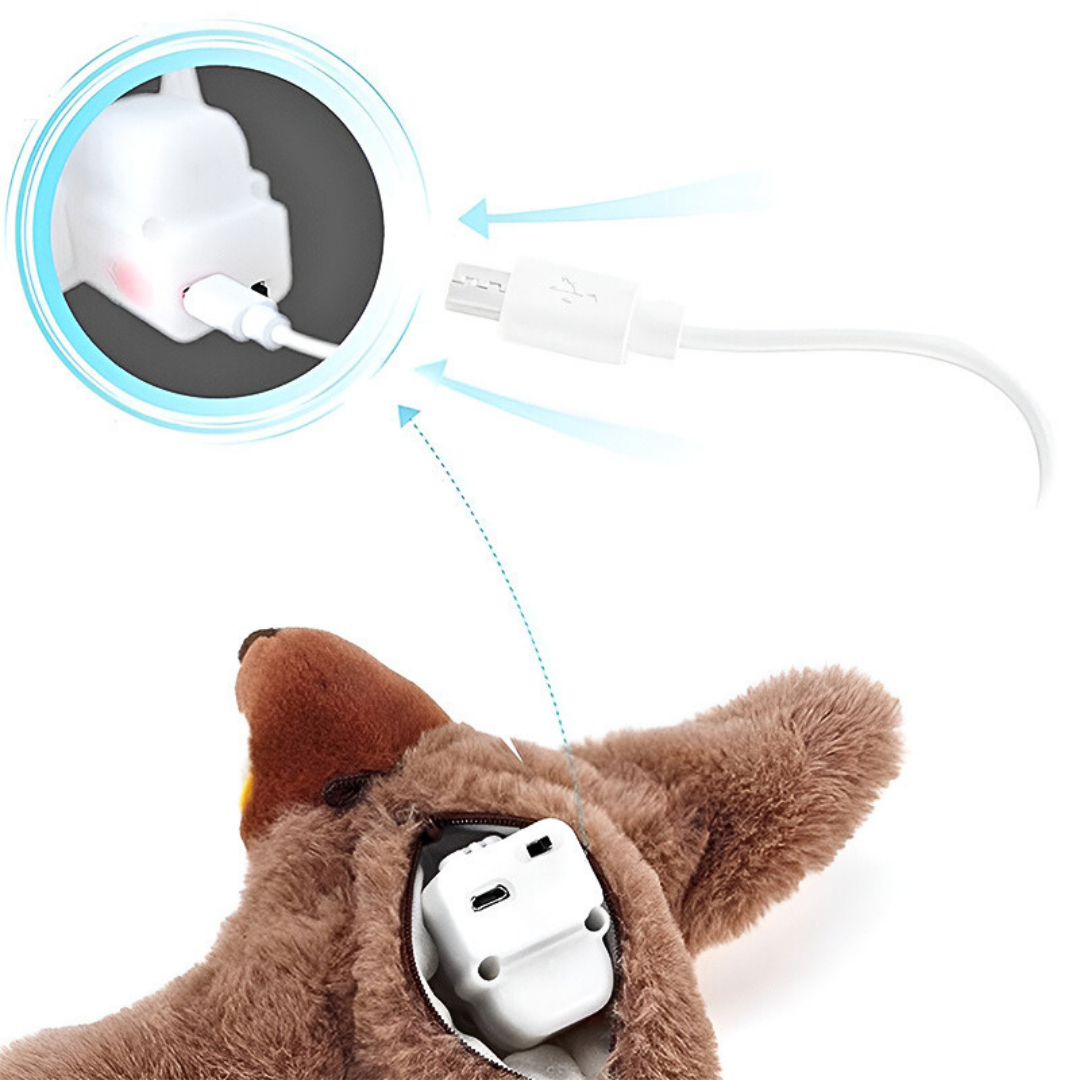 🐥TOYBIRD® Juguete interactivo para gatos