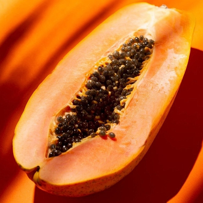 🥭PACK x100 SEMILLAS DE PAPAYA🌱